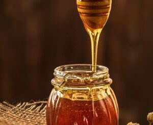 Honey Farming